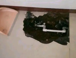 沐川卫生间测漏水多少钱